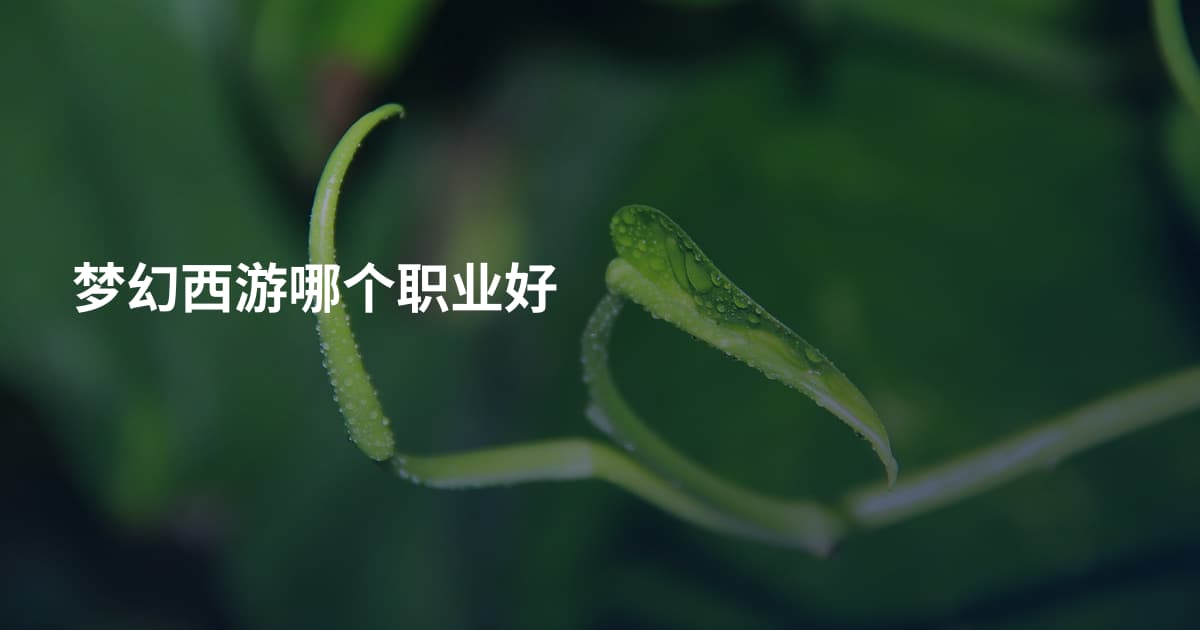 梦幻西游哪个职业好