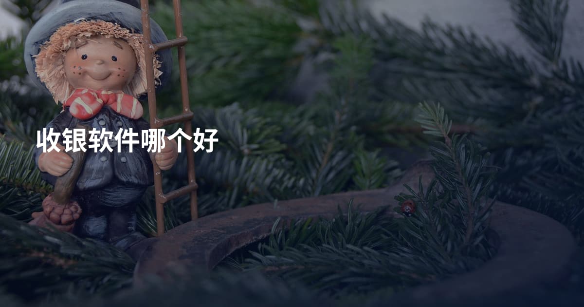 收银软件哪个好