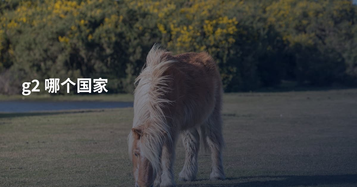 g2 哪个国家