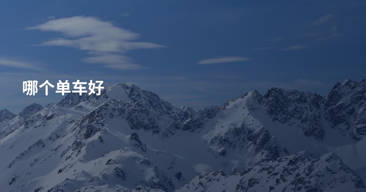 哪个单车好
