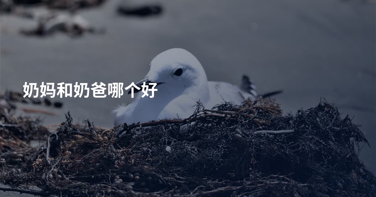 奶妈和奶爸哪个好