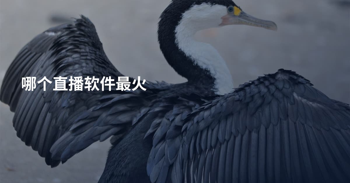 哪个直播软件最火