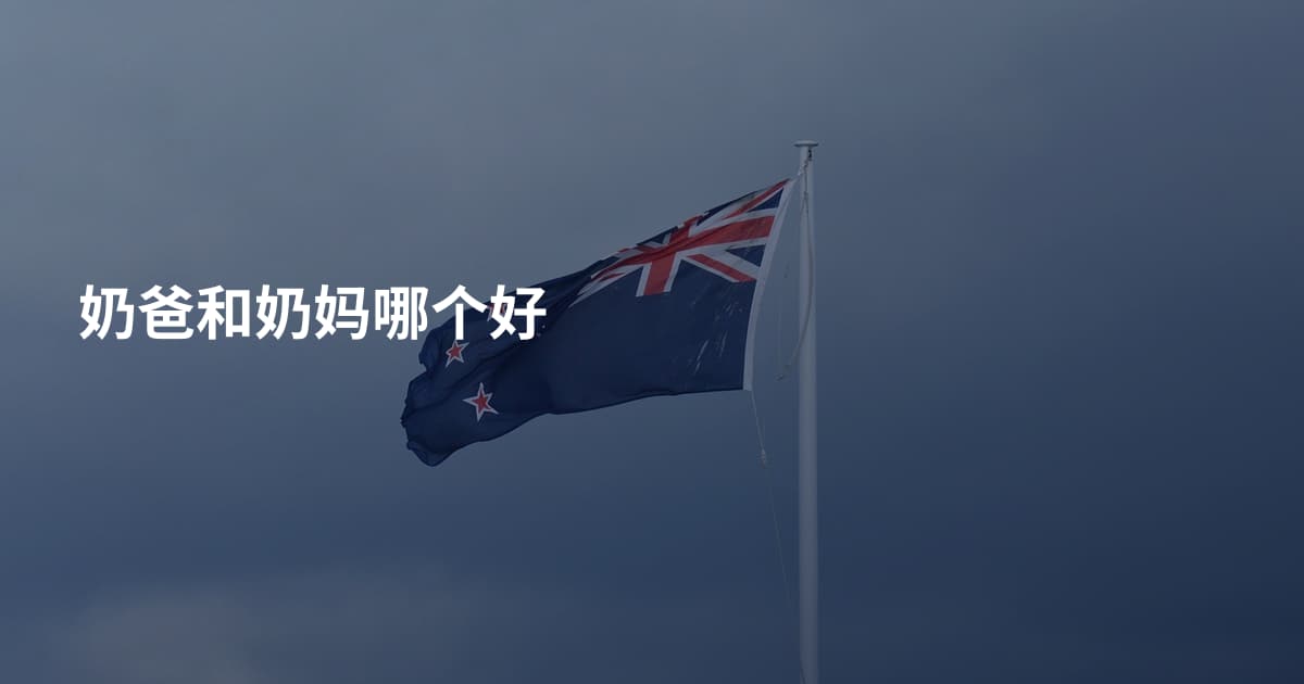 奶爸和奶妈哪个好