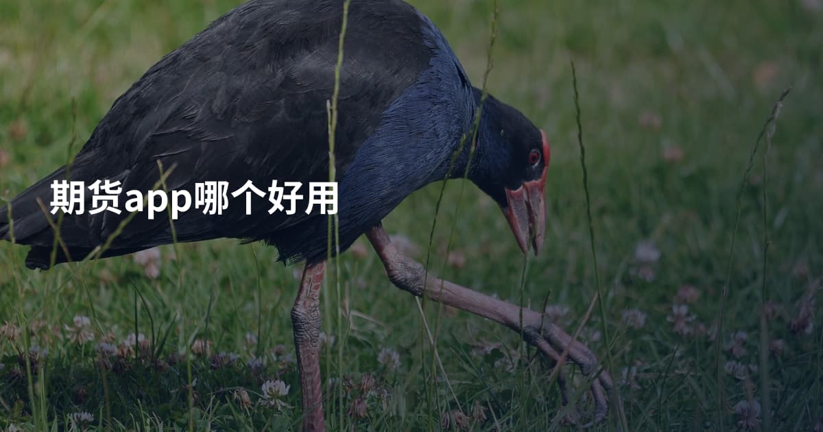 期货app哪个好用