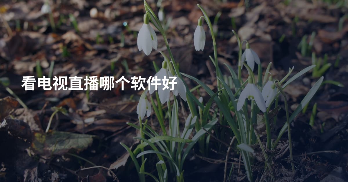 看电视直播哪个软件好