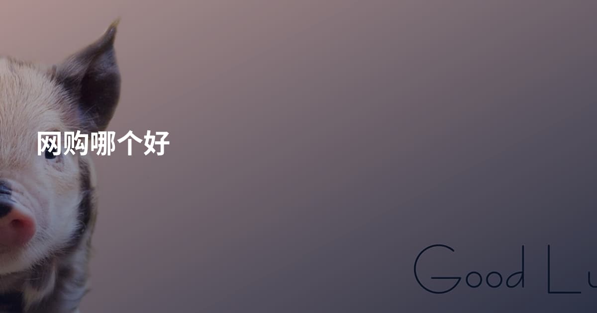 网购哪个好