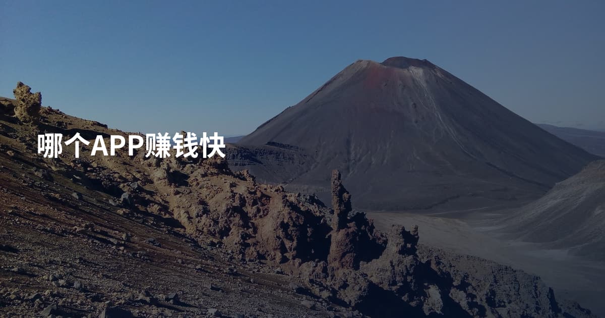 哪个APP赚钱快