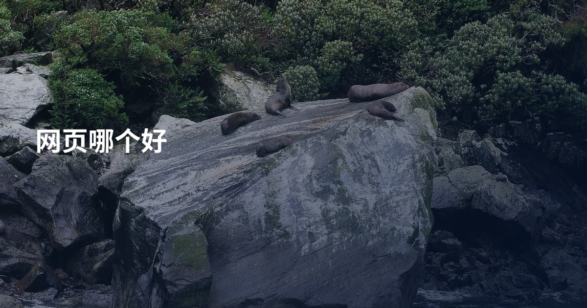 网页哪个好