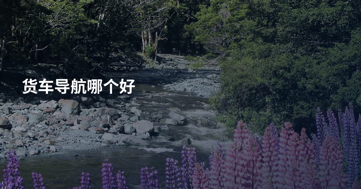 货车导航哪个好