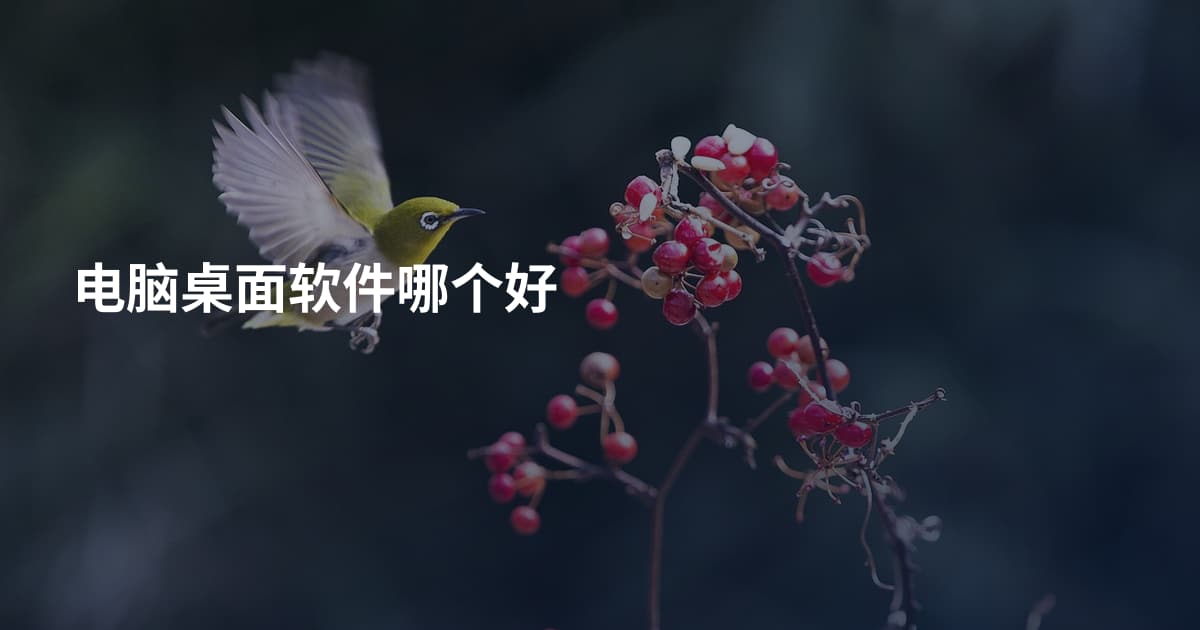 电脑桌面软件哪个好