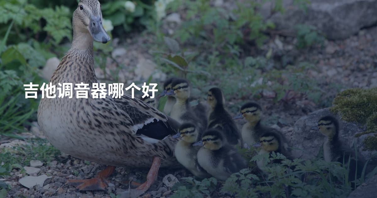 吉他调音器哪个好