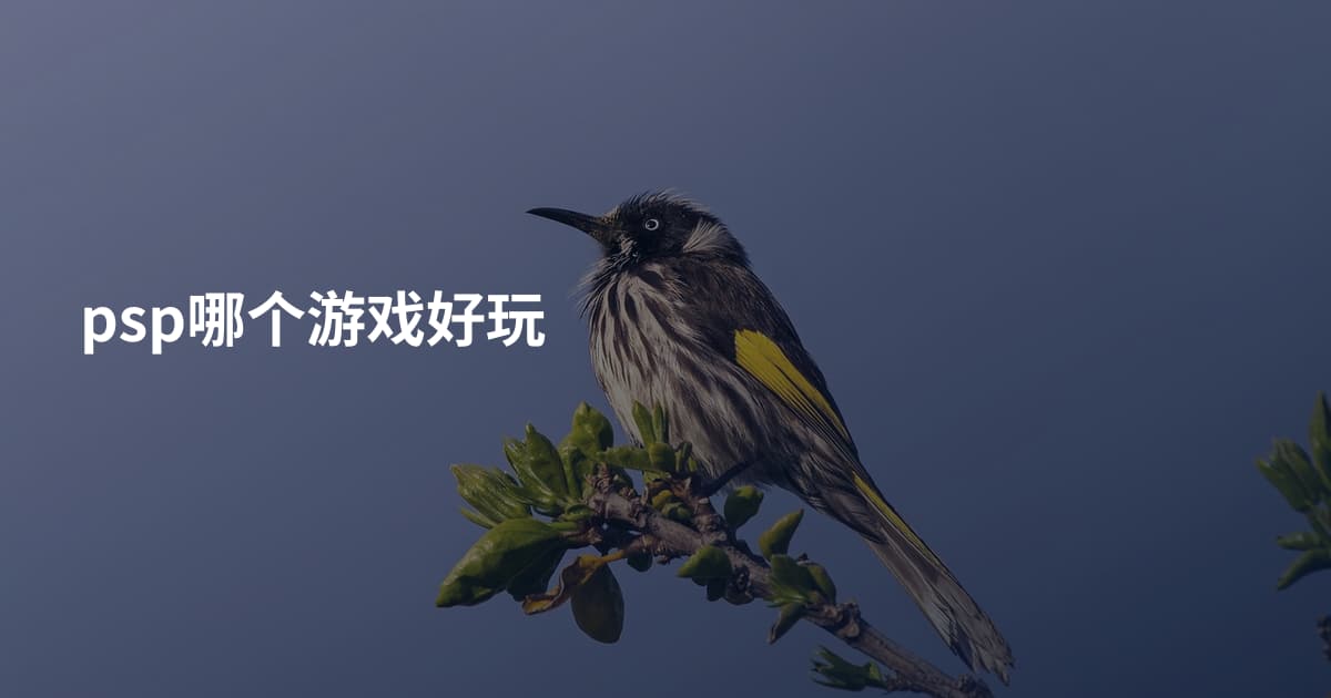 psp哪个游戏好玩