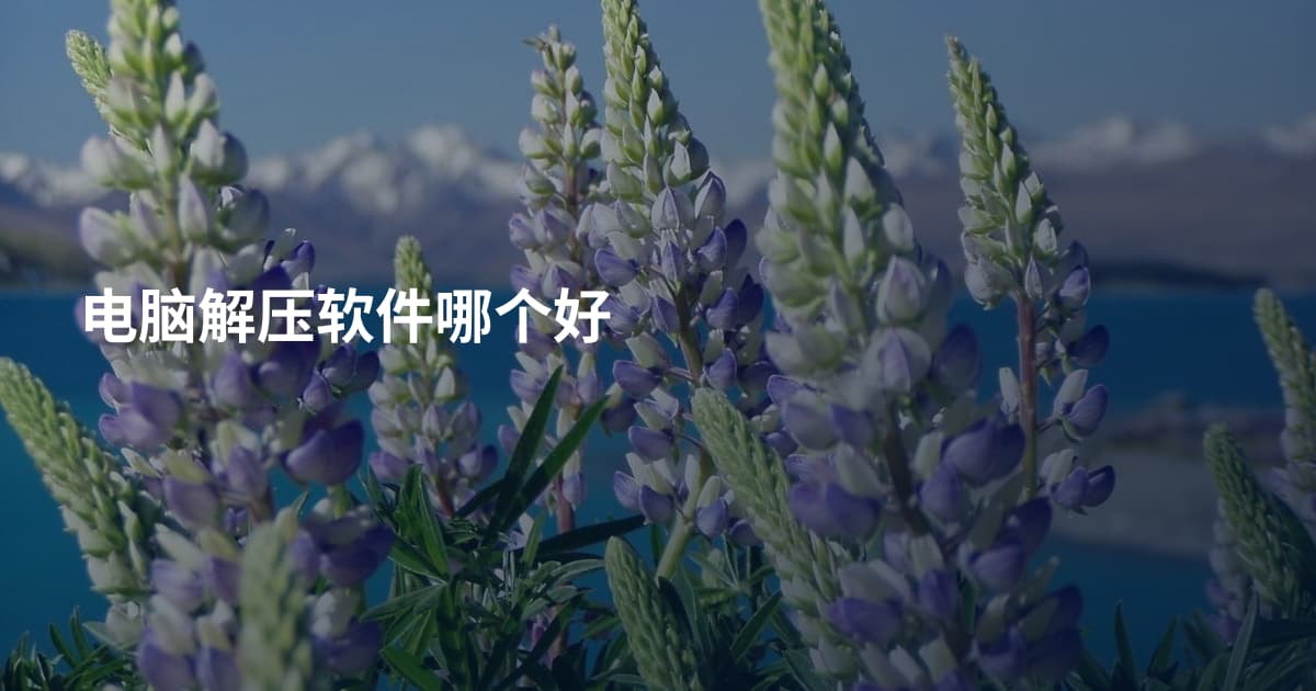 电脑解压软件哪个好