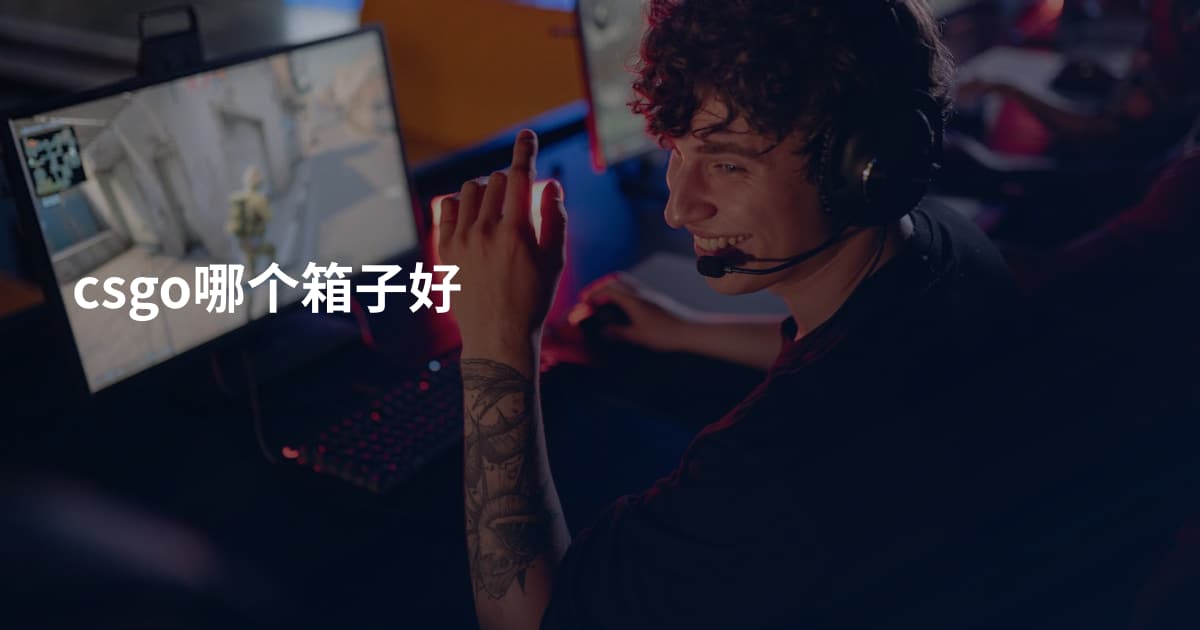 csgo哪个箱子好