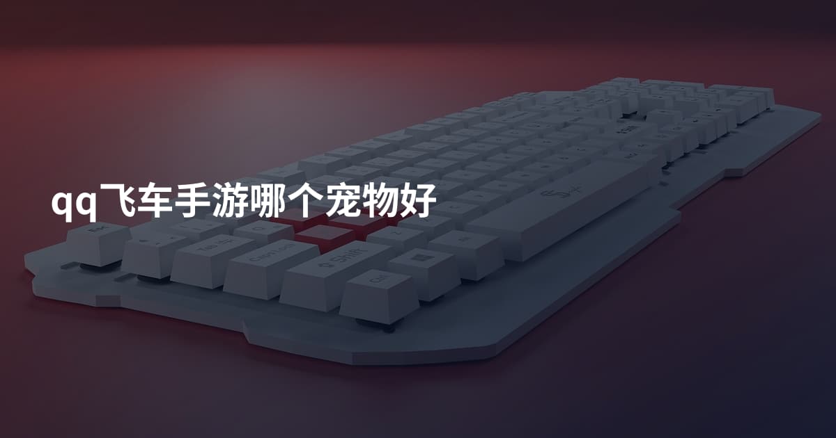 qq飞车手游哪个宠物好