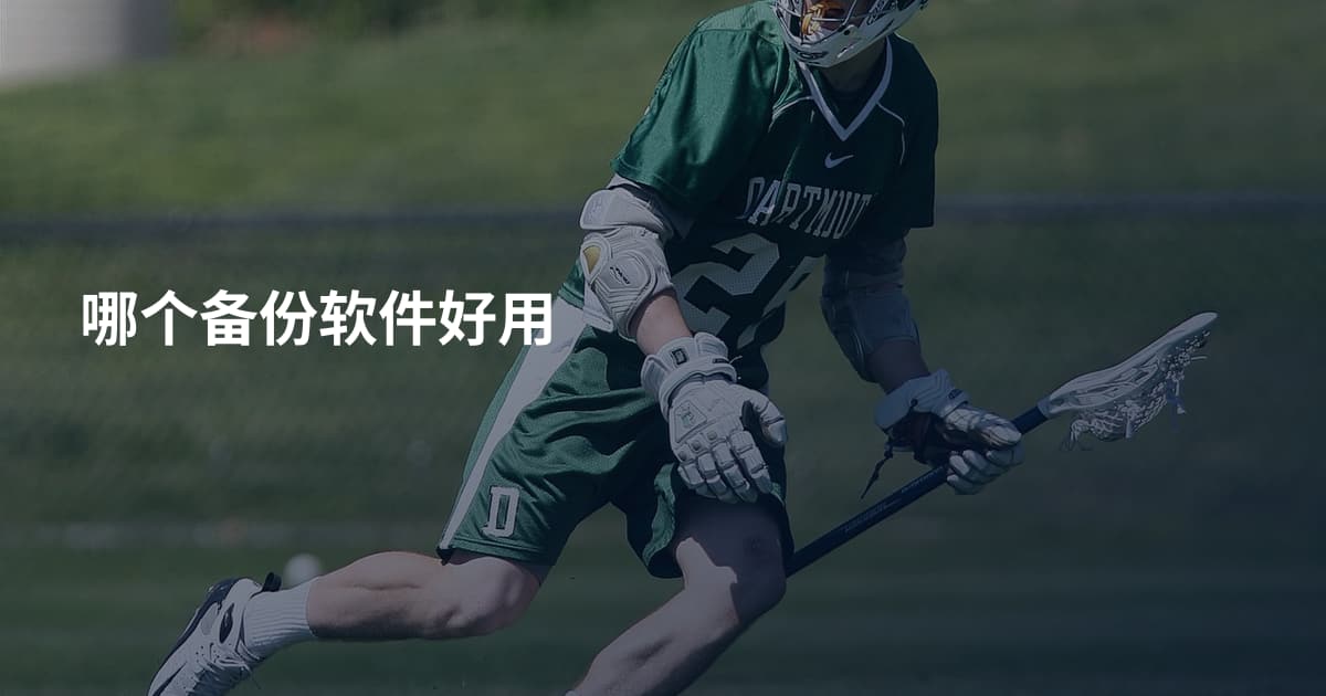 哪个备份软件好用