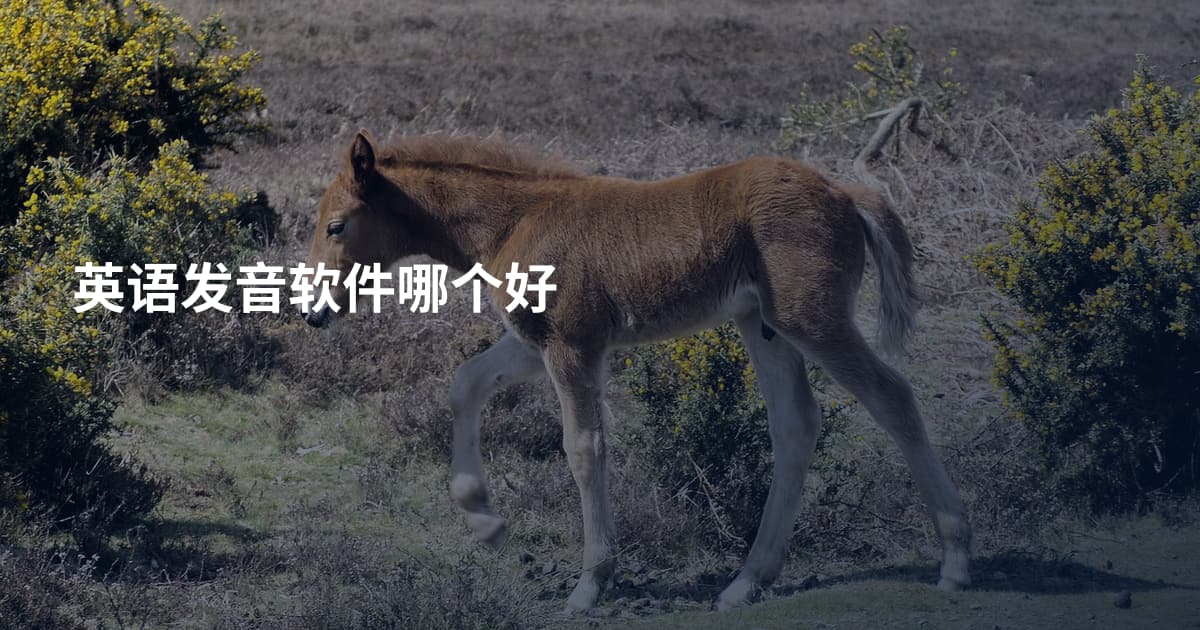 英语发音软件哪个好