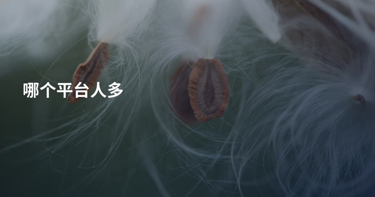 哪个平台人多