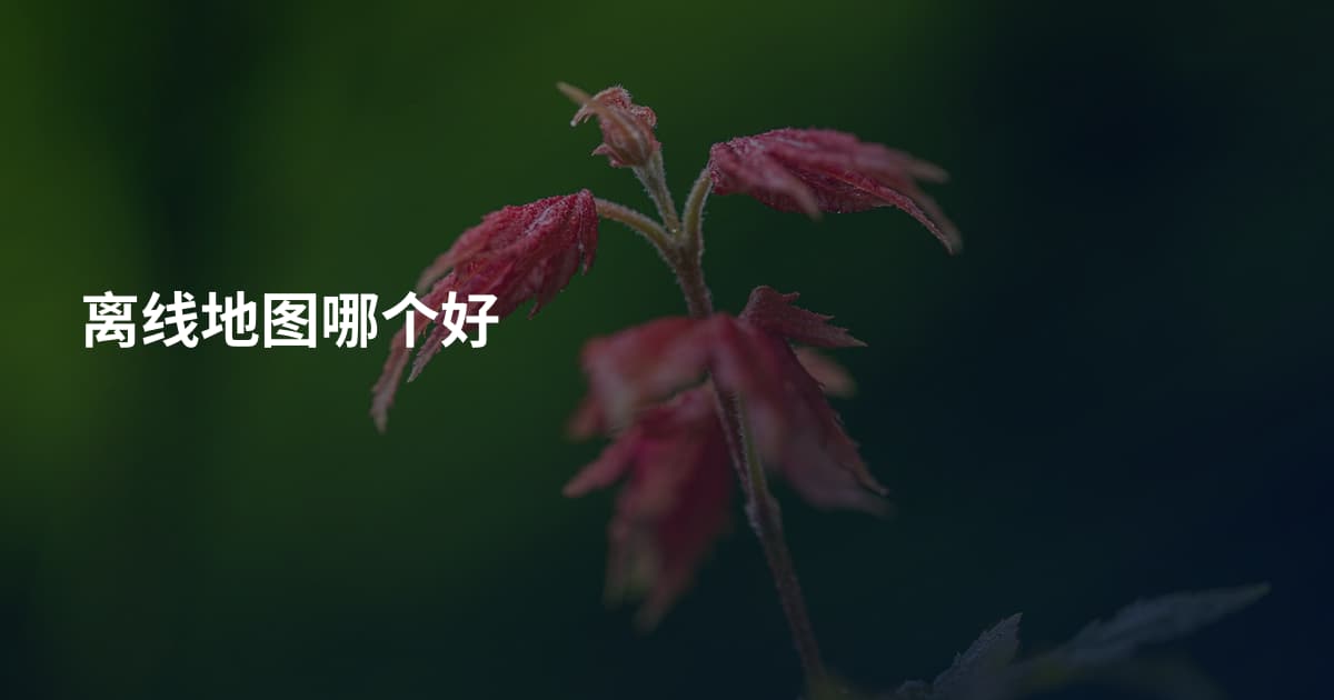 离线地图哪个好
