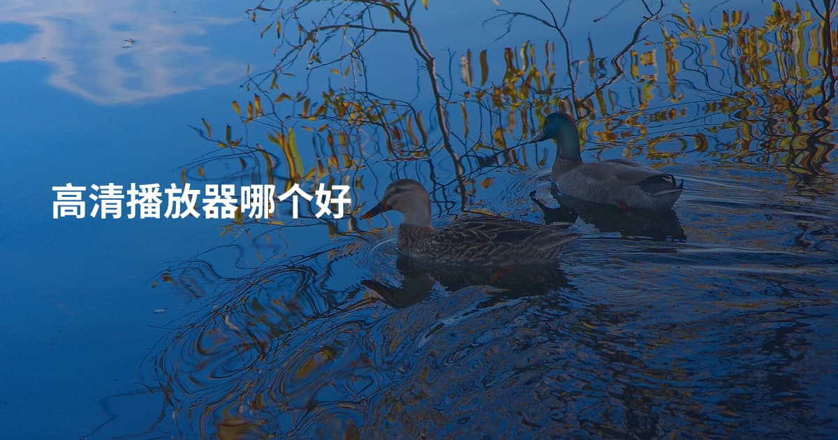 高清播放器哪个好