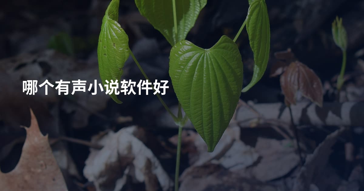 哪个有声小说软件好