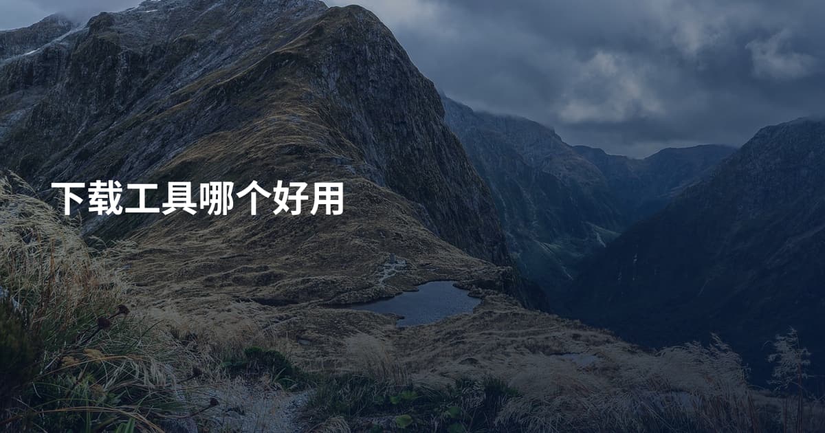 下载工具哪个好用