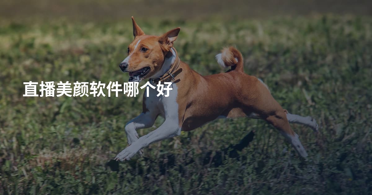 直播美颜软件哪个好