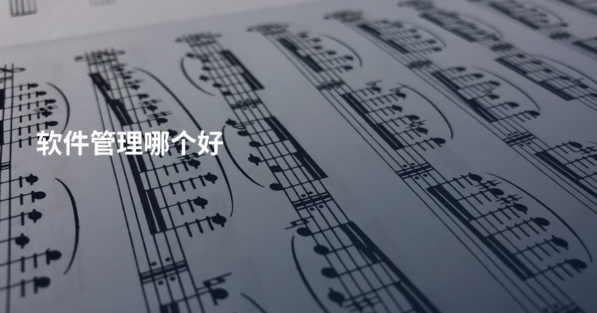软件管理哪个好
