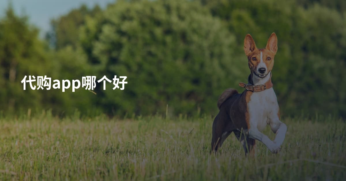 代购app哪个好