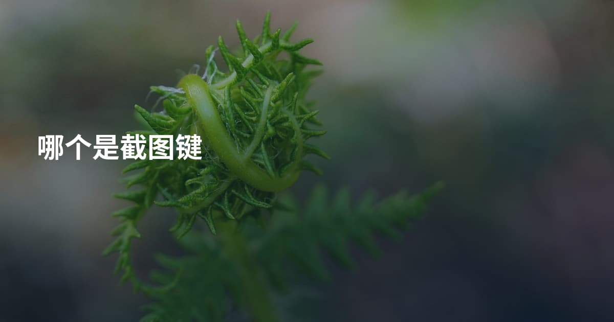 哪个是截图键