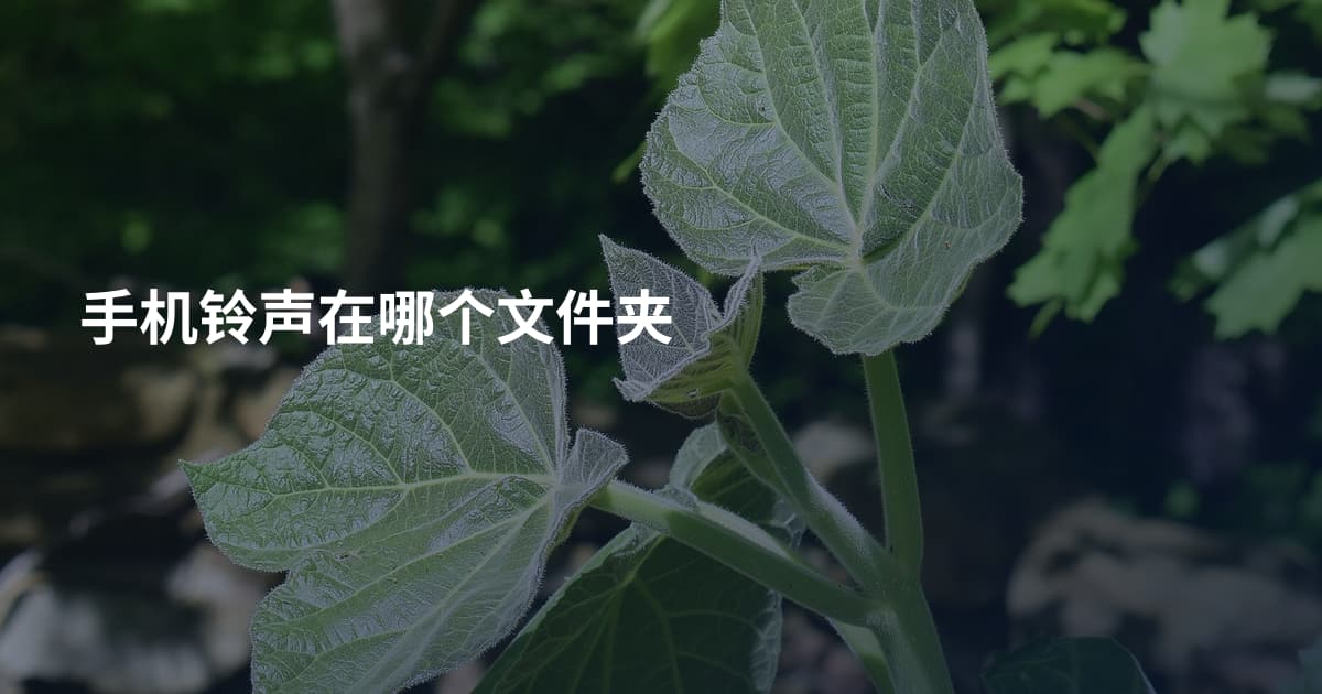 手机铃声在哪个文件夹