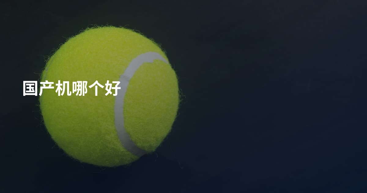 国产机哪个好