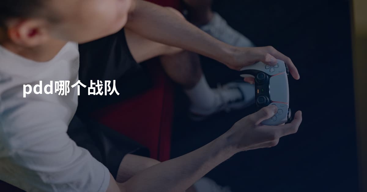 pdd哪个战队