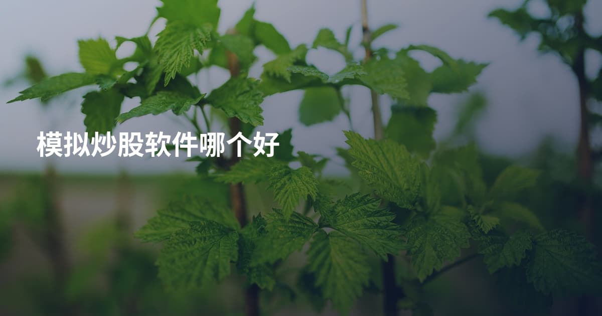 模拟炒股软件哪个好
