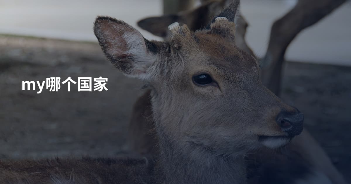 my哪个国家