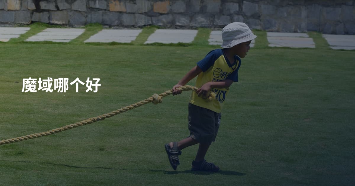 魔域哪个好