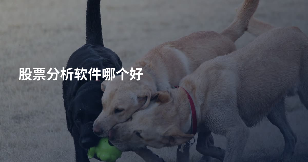股票分析软件哪个好