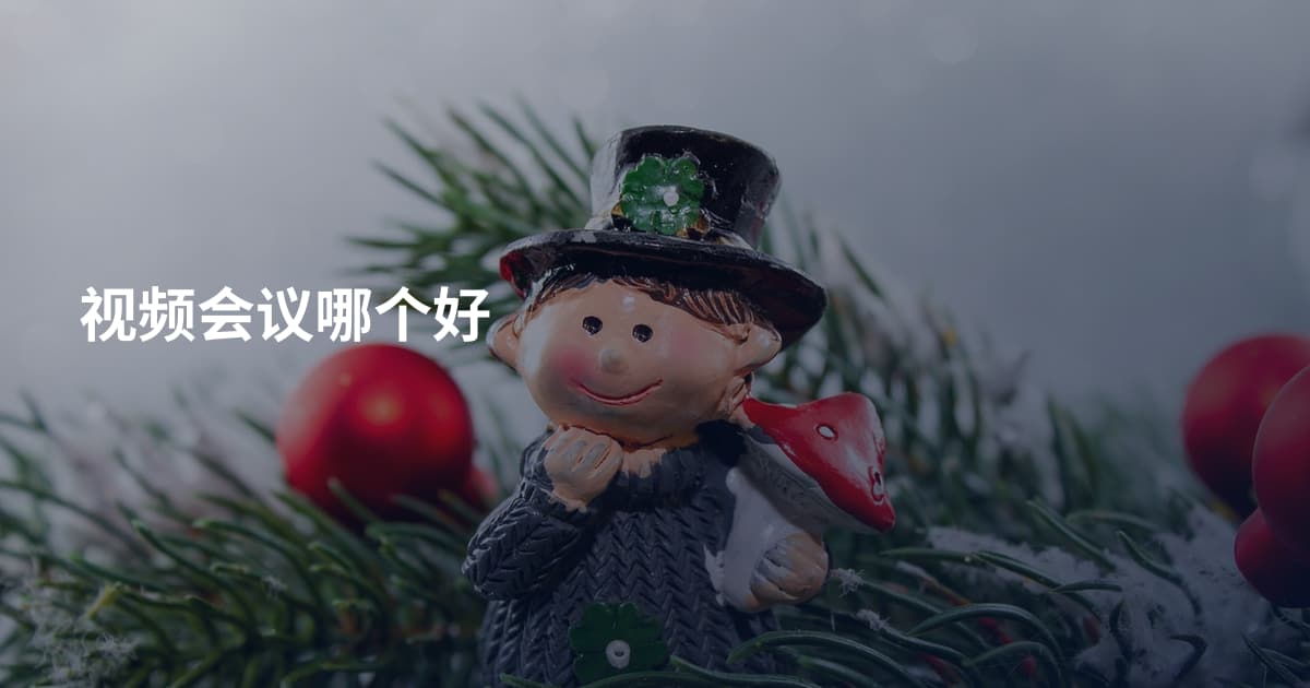 视频会议哪个好