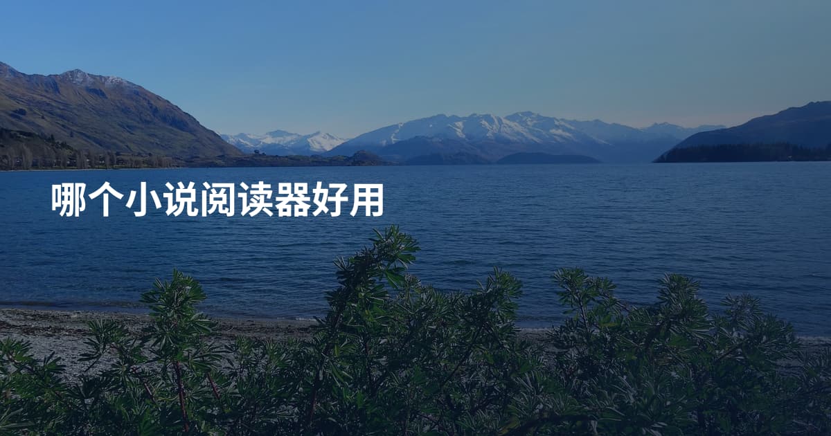哪个小说阅读器好用