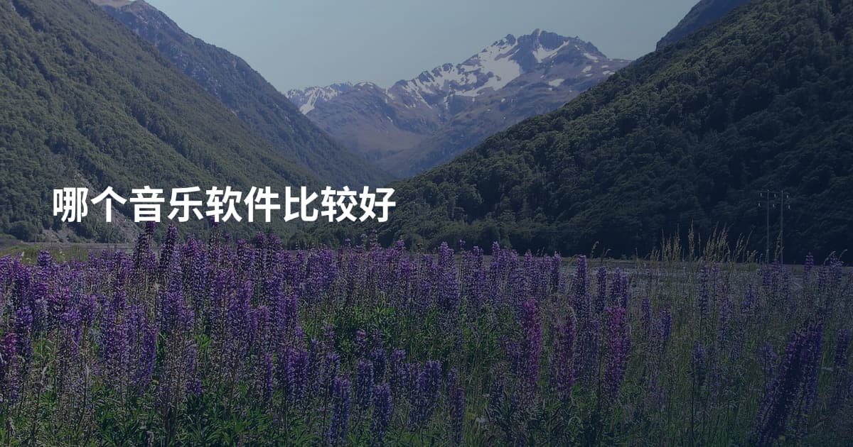 哪个音乐软件比较好