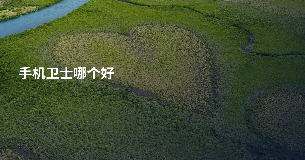 手机卫士哪个好