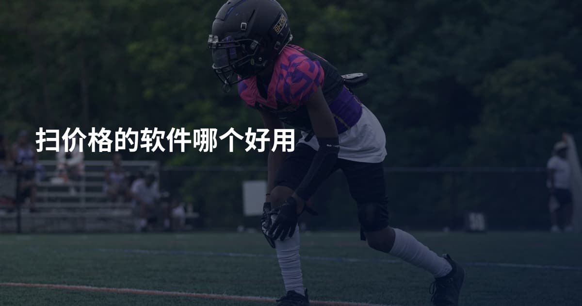 扫价格的软件哪个好用