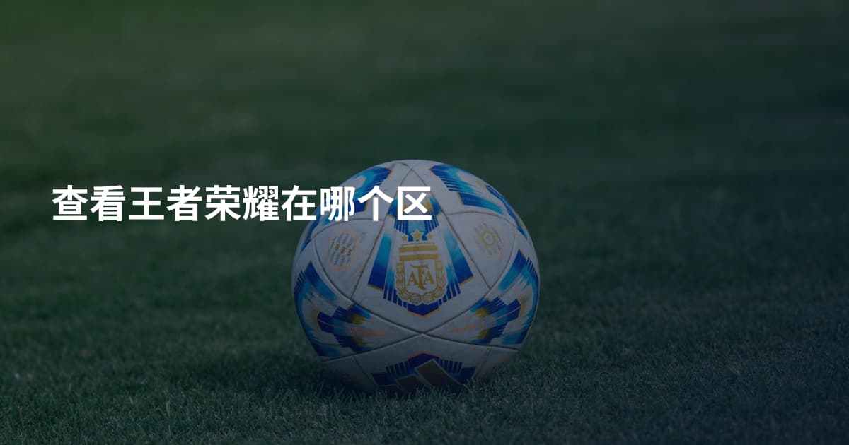查看王者荣耀在哪个区