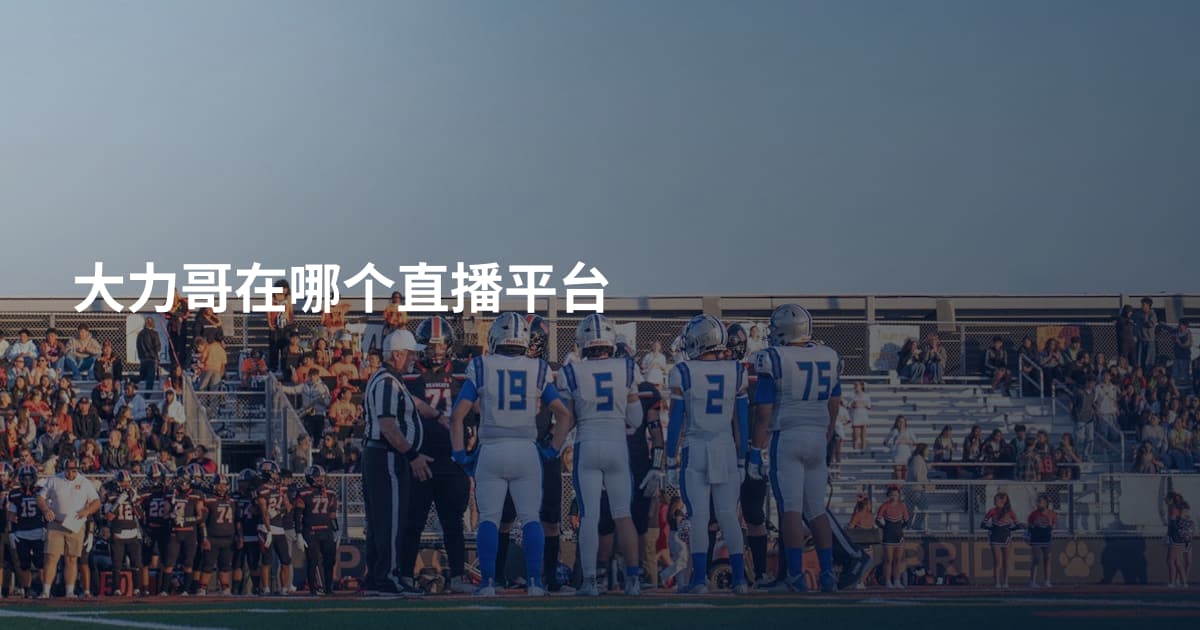 大力哥在哪个直播平台