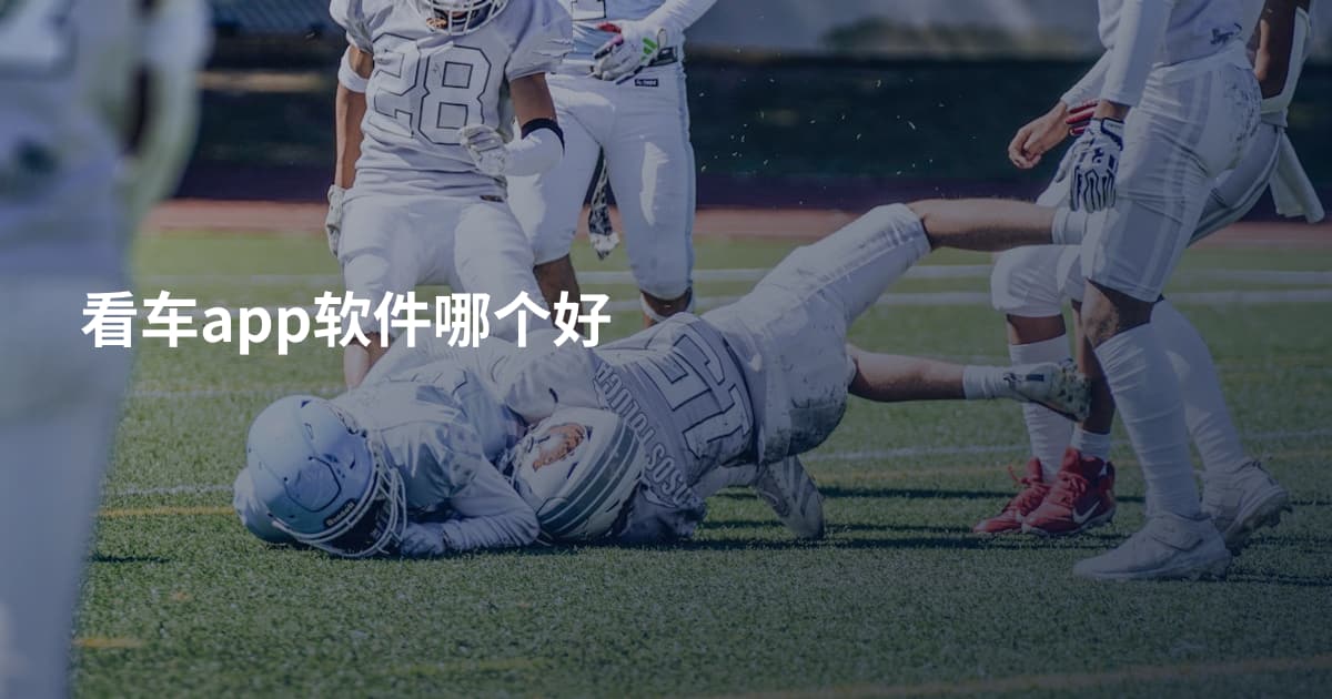 看车app软件哪个好