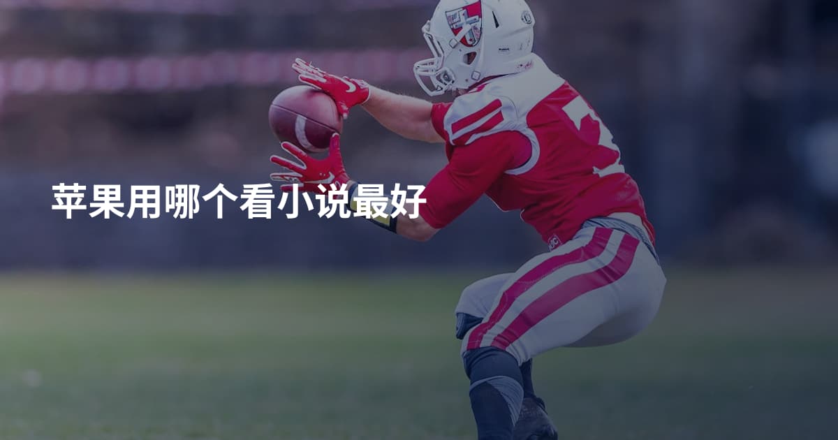 苹果用哪个看小说最好
