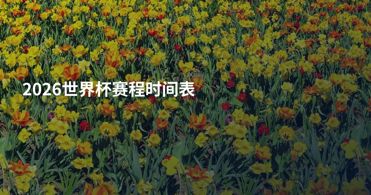 2026世界杯赛程时间表