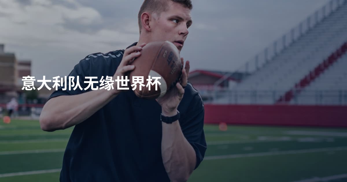 意大利队无缘世界杯