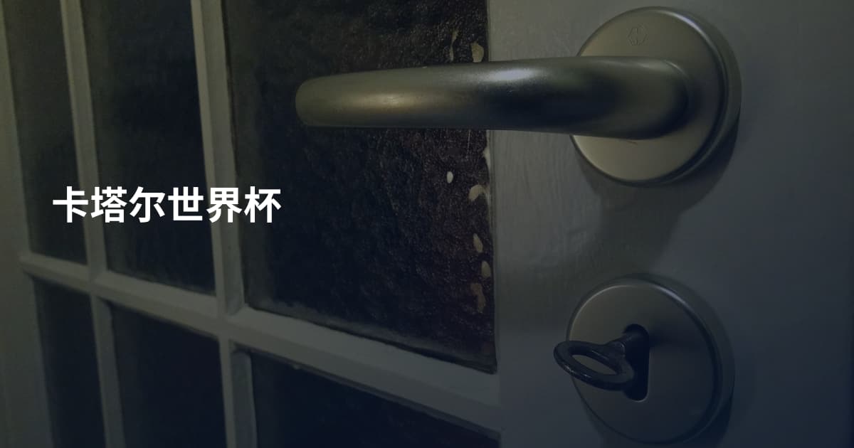 卡塔尔世界杯