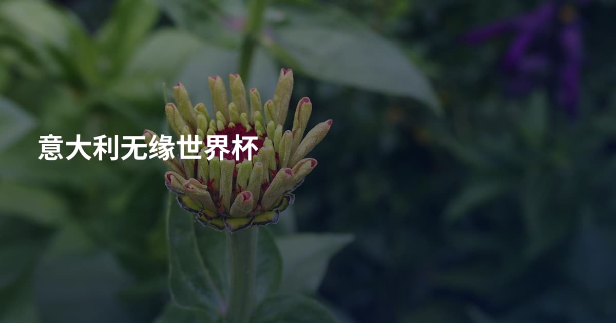 意大利无缘世界杯